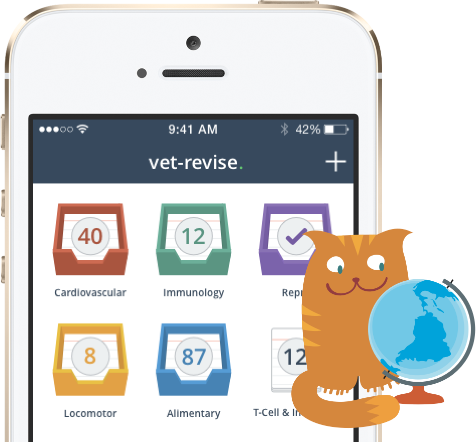 mobile app